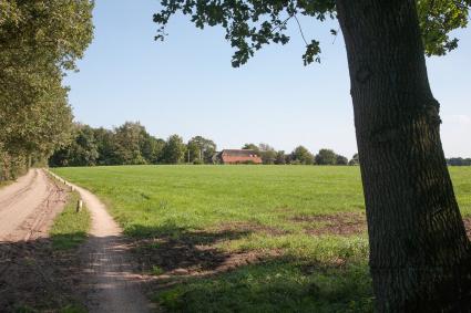 Boerderij aan een es. Molenbeltsweg, Heeten.

Landschapsbiografie Oost-Nederland, omgeving Raalte. © Rijksdienst voor het Cultureel Erfgoed