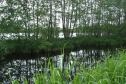 Legakker met lijnvormige beplanting in Ankeveens plassen © Paul Minkjan, Landschapsbeheer Nederland