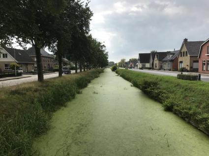 Veenkanaal Zevenhuizen © Buchan van Veen